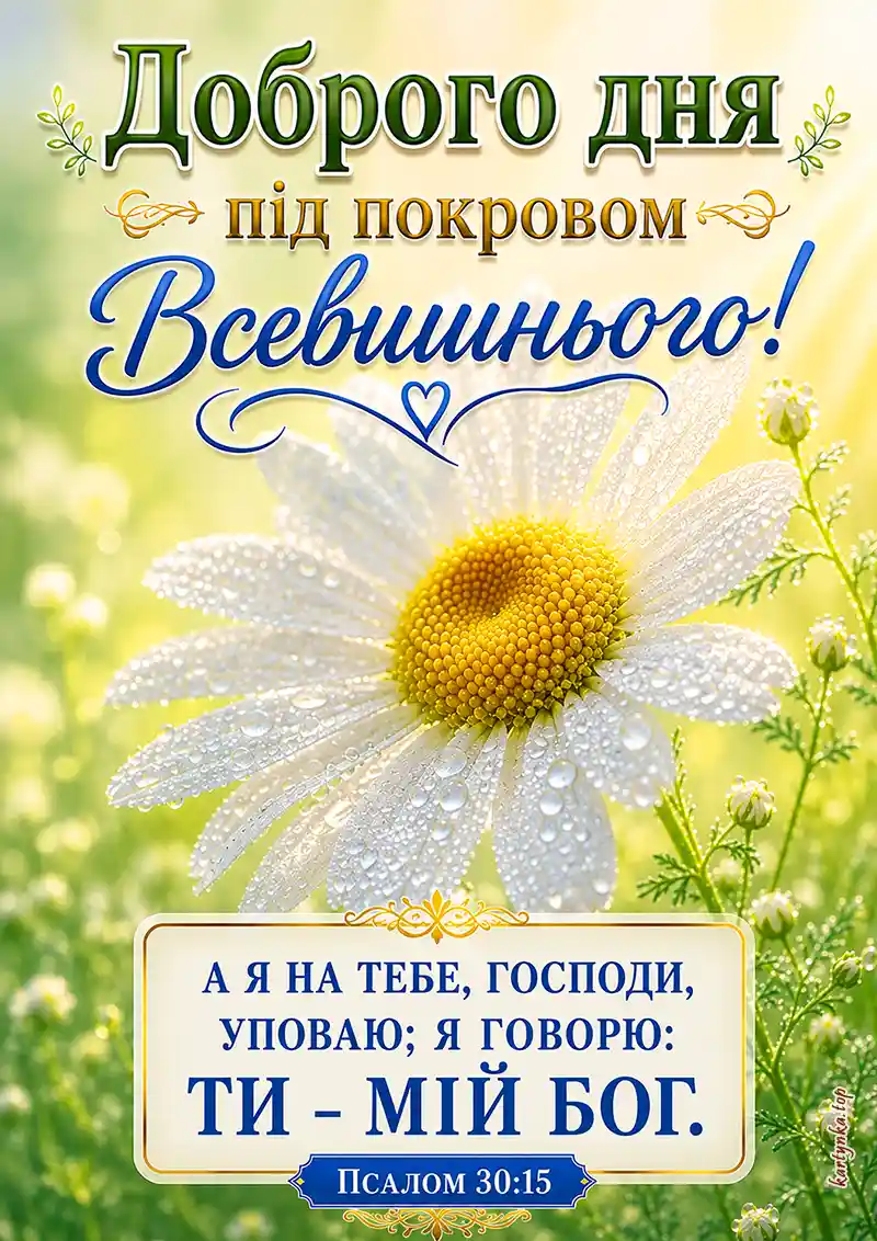 Картинка з Богородицею та Божим захистом