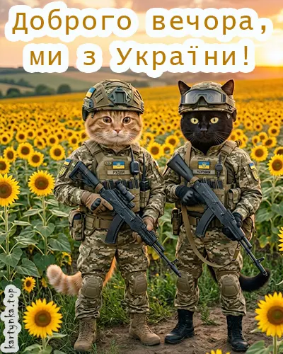 Листівки з побажанням приємного вечора Україна