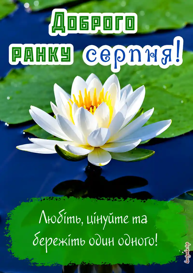 Листівка доброго серпневого ранку для рідних