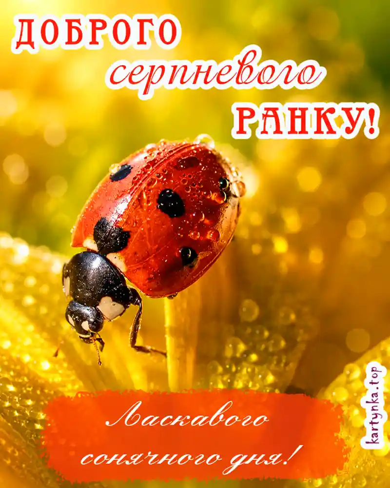 Листівка гарного дня серпня