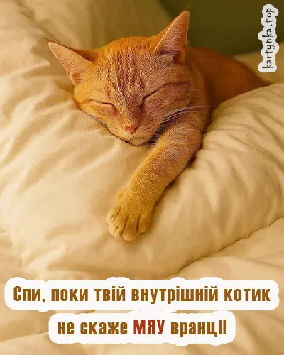 Ілюстрація з кошеням і побажанням нічного затишку