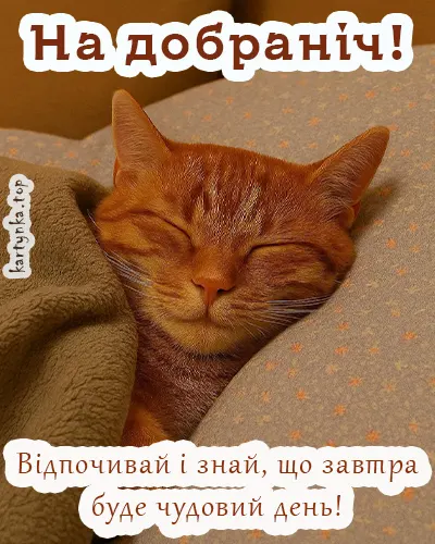 Малюнок із котиком та ніжним побажанням на сон