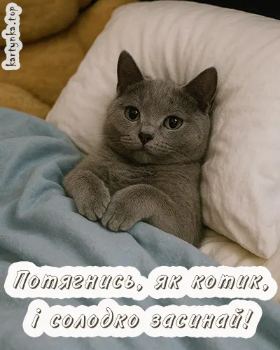 Зображення котика з теплим нічним привітанням