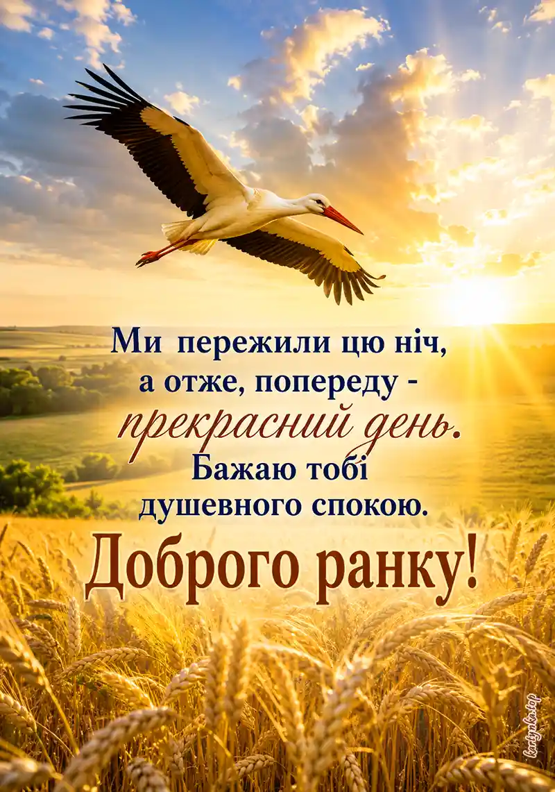 Мирне зображення з словами підтримки
