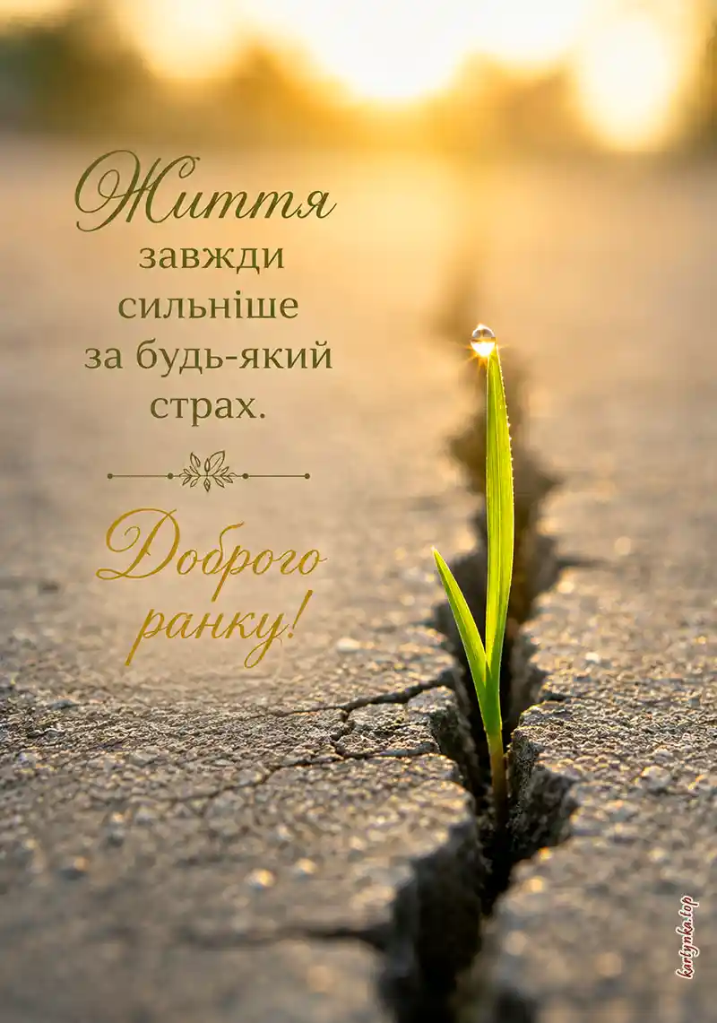 Спокійне зображення з побажанням тиші